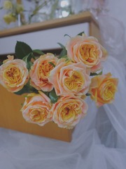 BF2F3D30-24D2-4869-AFAE-B3FA967C6D91/L0/001
