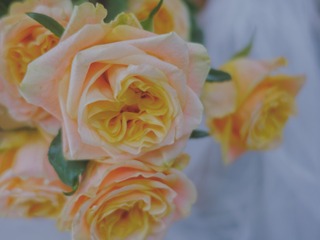 00CA056B-DF1C-4EF4-B288-462C1961C4F0/L0/001