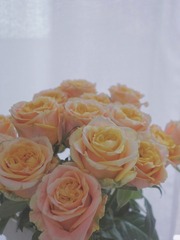 D615C049-79FF-438D-9AFE-38F095104879/L0/001