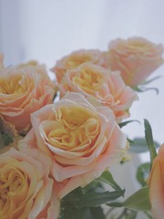 6A4E3827-21C0-4D7F-86D7-AEE8AFC4EEDF/L0/001