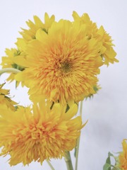 210BFB49-4AF6-4A84-B855-968BF4BEE45F/L0/001