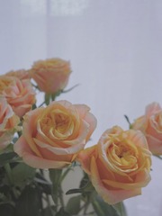 81412441-FD30-41EE-BA88-050CE7A38F6F/L0/001