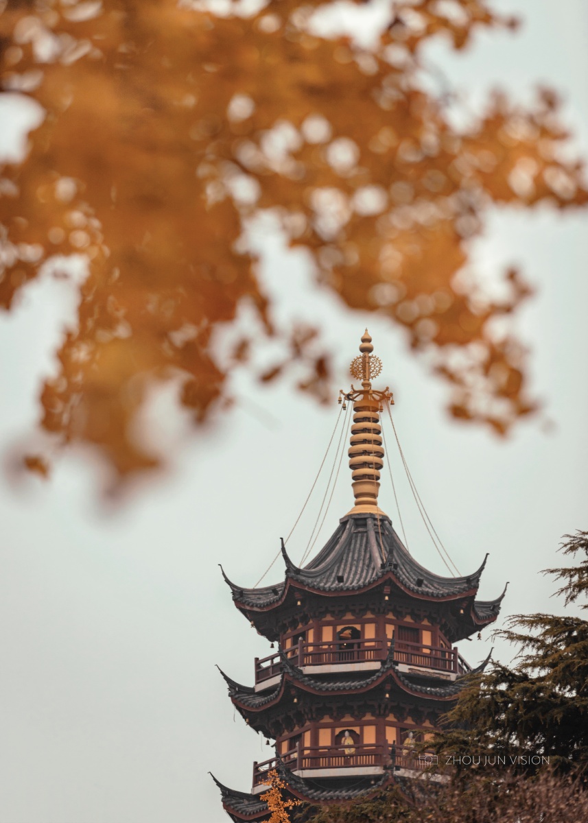 鸡鸣寺的秋天