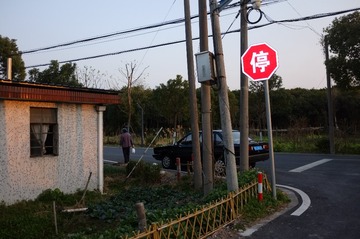 1000084290