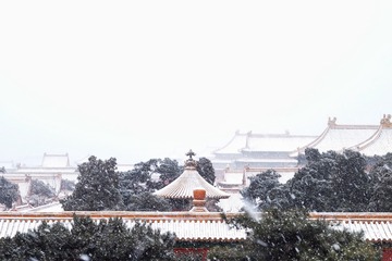 A215433A-1702-4517-B2B9-EF64C58A2B5A/L0/001