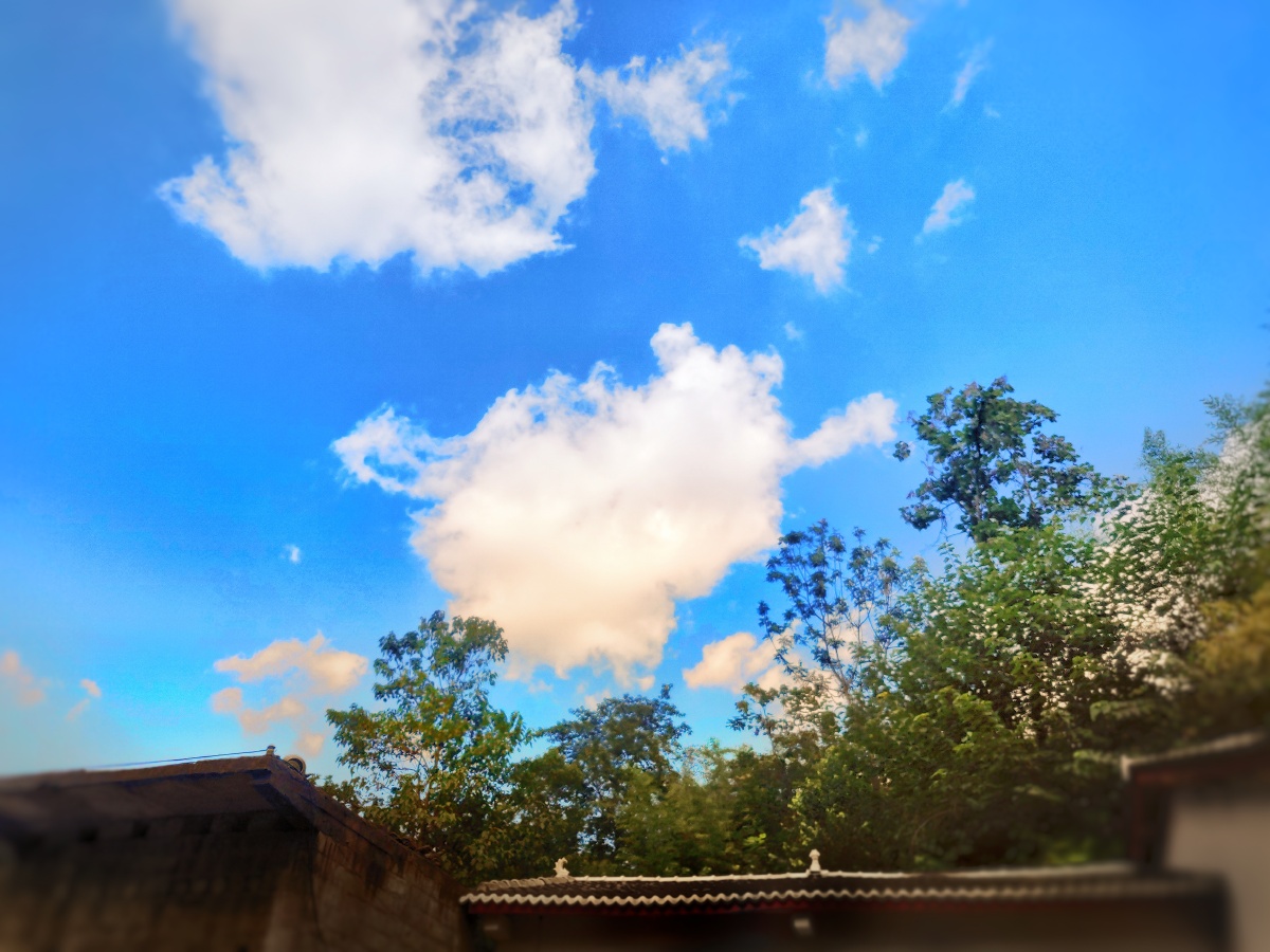 清晨映入眼帘的便是这蓝天白云