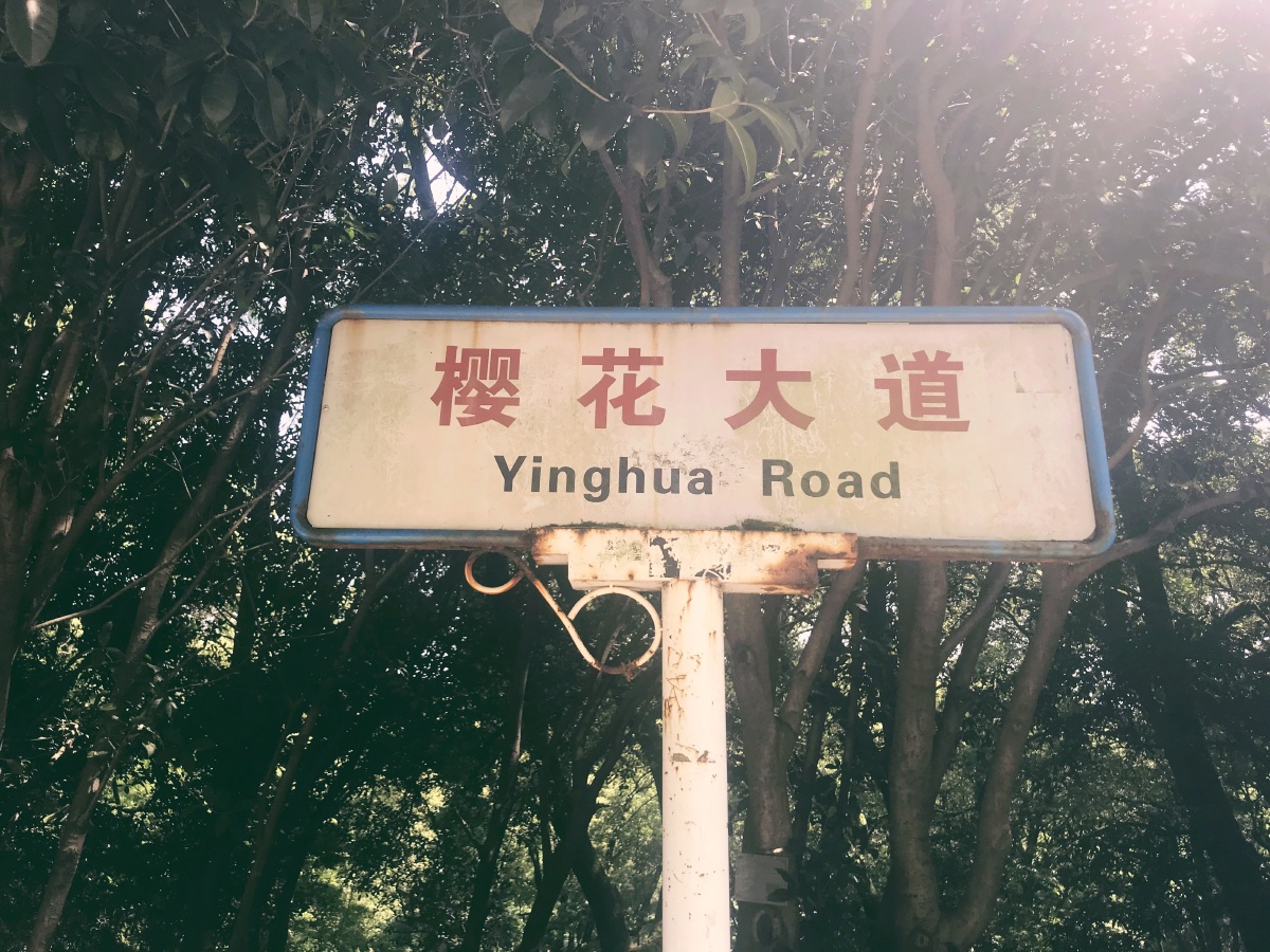 武汉大学路牌樱花落后的樱花城堡老斋舍