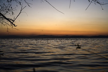 8DB0C995-E707-4BEA-B144-79CF3C026E7F/L0/001