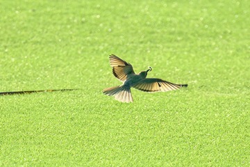 46AAFA57-EA0D-4B41-B602-37FEB9F16344/L0/001