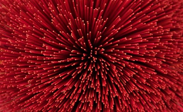 119C5FF1-7853-4D60-A131-8C9C085270E8/L0/001