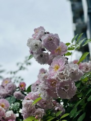 53882C11-57A9-49C0-9B67-617C40C1F167/L0/001