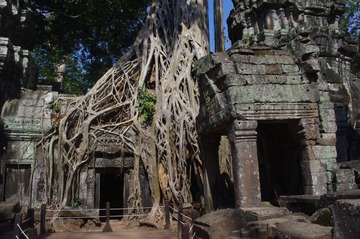 IMGP2238.JPG