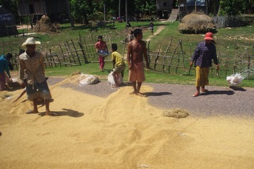 IMGP2728.JPG