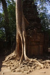 IMGP2218.JPG