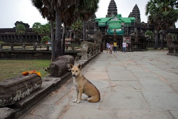 IMGP1522.JPG