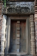 IMGP2303.JPG
