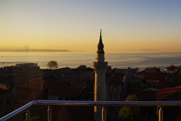 IMGP3577ss.jpg