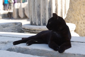 IMGP5009ss.jpg