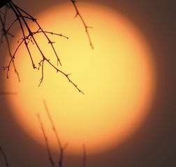 E6DF0B5E-97E6-44C3-871B-FAC66F69CC13/L0/001