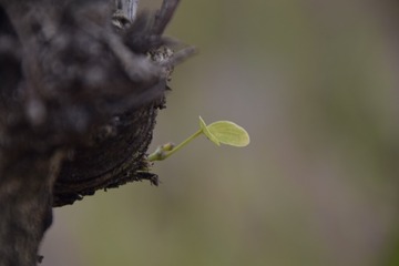 456912