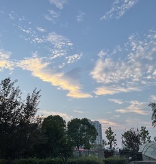 83500A7B-F24C-480B-8767-B5FE55536E33/L0/001