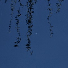 C9274764-CF09-46F6-8ACF-75D00D22558E/L0/001