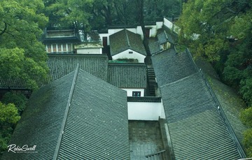 檐惹青苔.jpg