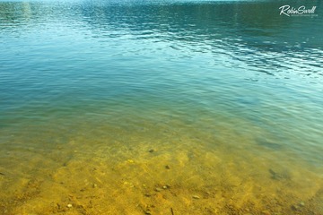 DSC00117.jpg