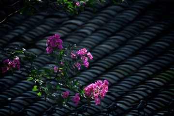 DSC05914.jpg