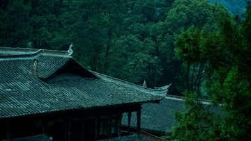 DSC06050.jpg