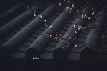 451824