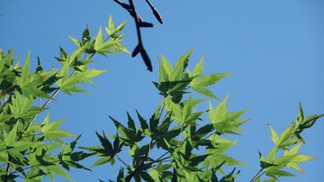 150BE0E0-8A89-48DA-8E1E-AEBDBA2EF724/L0/001
