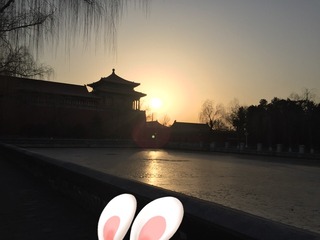 A15ADED7-D469-42C0-86CE-66F90AD4E1FF/L0/001