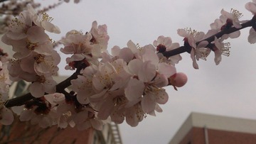 DSC_0040.jpg