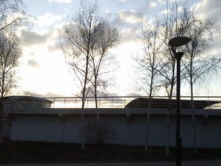 IMG0937A.jpg