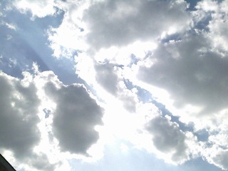 IMG1309A.jpg