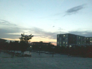 IMG1401A.jpg