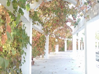 IMG1931A.jpg