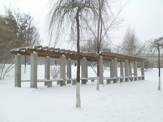 IMG2652A.jpg