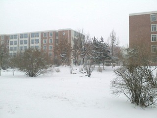 IMG2653A.jpg