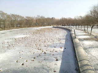 IMG2697A.jpg