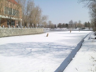 IMG2740A.jpg