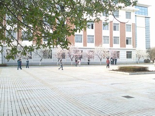 IMG2901A.jpg