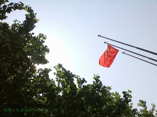 IMG3026A_副本.jpg