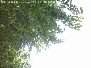 IMG3030A_副本.jpg