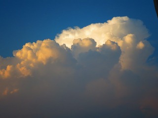 8E711DDF-6B26-45F6-871C-16B795EE98D0/L0/001