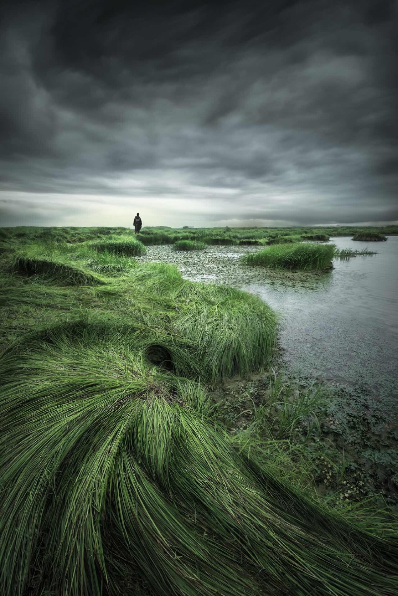 雨停了,空旷的湿地寂静的让人害怕