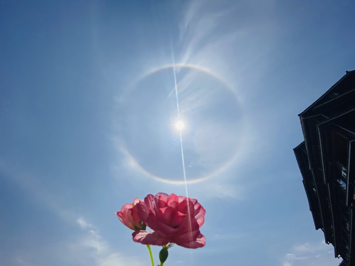 好美的太阳好毒的紫外线