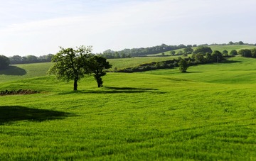 _DSC0963