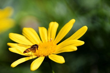 _DSC0152